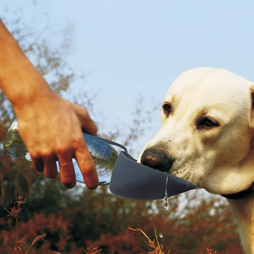 Keep Your Pets Hydrated with the Automatic Mute Pet Water Fountain by Doggo & Kitty Essentials