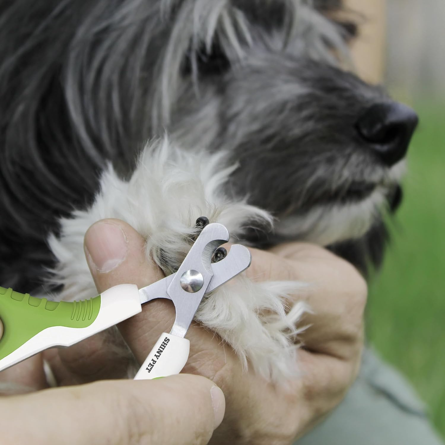 Safe & Effective Nail Care with Anti-Bleeding Pet Nail Clippers for Cats