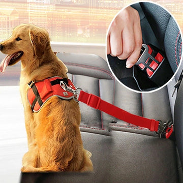 Adjustable Pet Car Seat Belt – Safe & Secure Travel for Dogs and Cats - Doggo & Kitty Essentials