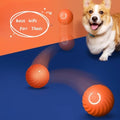 Durable Rubber Dog Balls – Interactive, Chew-Resistant, & USB Rechargeable - Doggo & Kitty Essentials