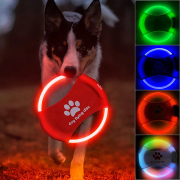 LED Glowing Dog Flying Disc – Rechargeable, Interactive Night Play Toy - Doggo & Kitty Essentials